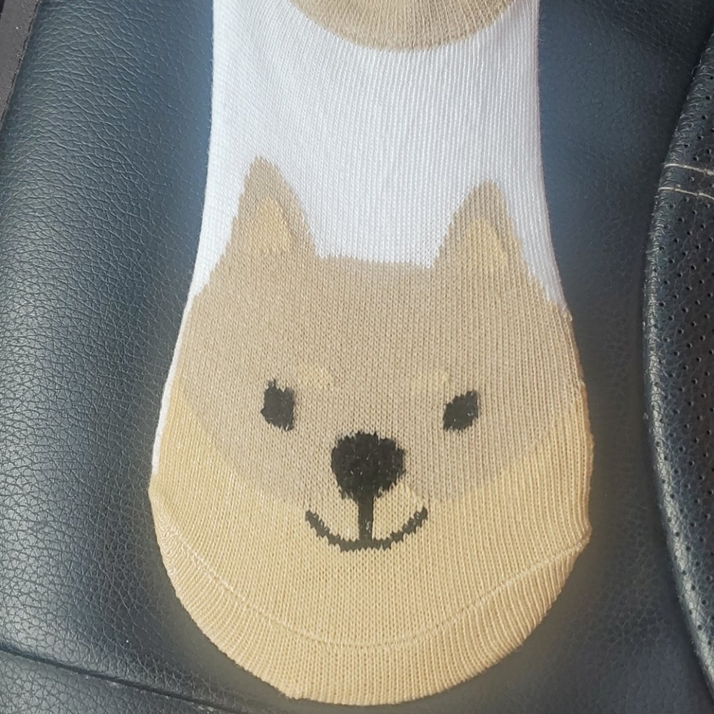 Shiba Inu socks